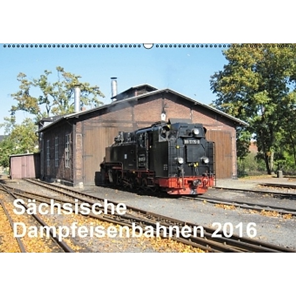 Sächsische Dampfeisenbahnen 2016 (Wandkalender 2016 DIN A2 quer), Markus Pfetzing