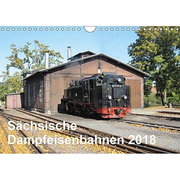 Sächsische Dampfeisenbahnen 2018 (Wandkalender 2018 DIN A4 quer) Dieser erfolgreiche Kalender wurde dieses Jahr mit glei, Markus Pfetzing