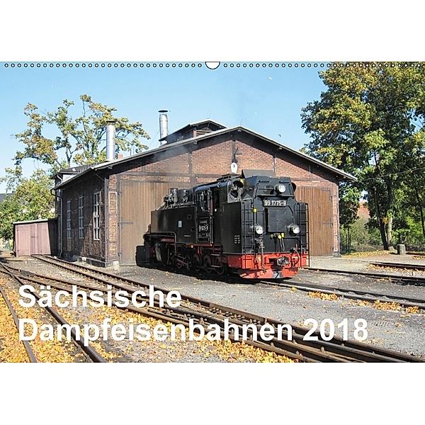 Sächsische Dampfeisenbahnen 2018 (Wandkalender 2018 DIN A2 quer), Markus Pfetzing