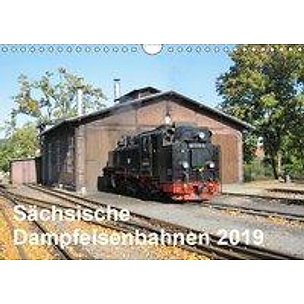 Sächsische Dampfeisenbahnen 2019 (Wandkalender 2019 DIN A4 quer), Markus Pfetzing