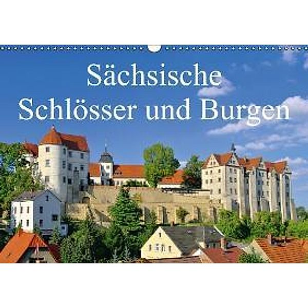 Sächsische Schlösser und Burgen (Wandkalender 2015 DIN A3 quer), LianeM