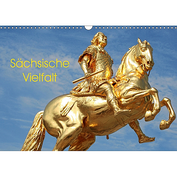 Sächsische Vielfalt (Wandkalender 2019 DIN A3 quer), André Bujara