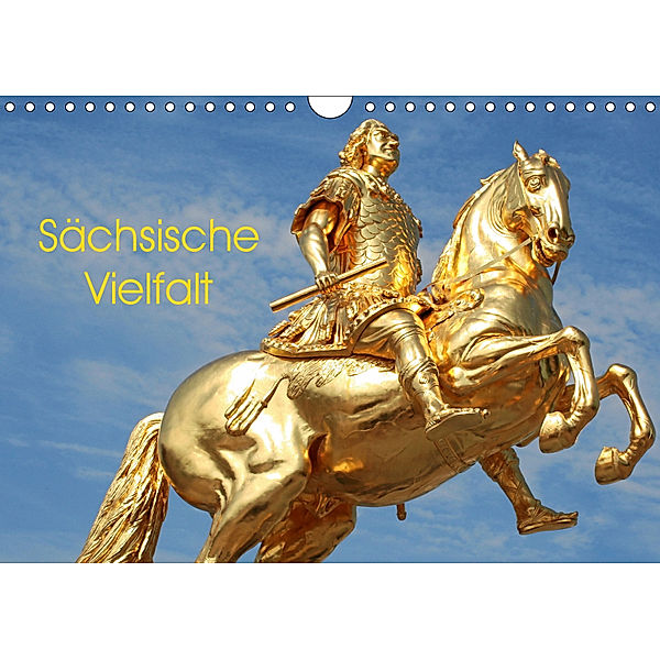 Sächsische Vielfalt (Wandkalender 2019 DIN A4 quer), André Bujara