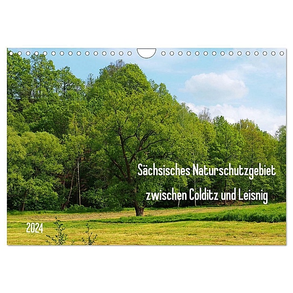 Sächsisches Naturschutzgebiet zwischen Colditz und Leisnig (Wandkalender 2024 DIN A4 quer), CALVENDO Monatskalender, Thilo Seidel