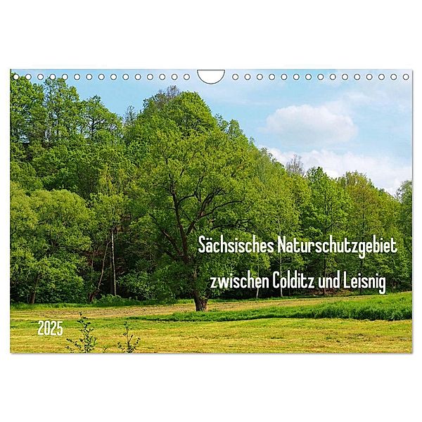 Sächsisches Naturschutzgebiet zwischen Colditz und Leisnig (Wandkalender 2025 DIN A4 quer), CALVENDO Monatskalender, Calvendo, Thilo Seidel