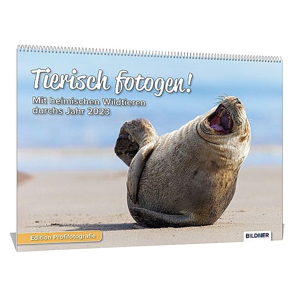 Sänger, K: Tierkalender 2023, Tierisch fotogen, Kyra Sänger, Christian Sänger