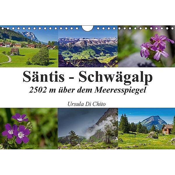 Säntis - Schwägalp (Wandkalender 2017 DIN A4 quer), Ursula Di Chito