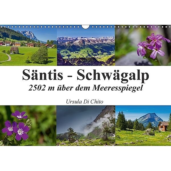 Säntis - Schwägalp (Wandkalender 2018 DIN A3 quer), Ursula Di Chito