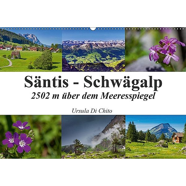 Säntis - Schwägalp (Wandkalender 2020 DIN A2 quer), Ursula Di Chito