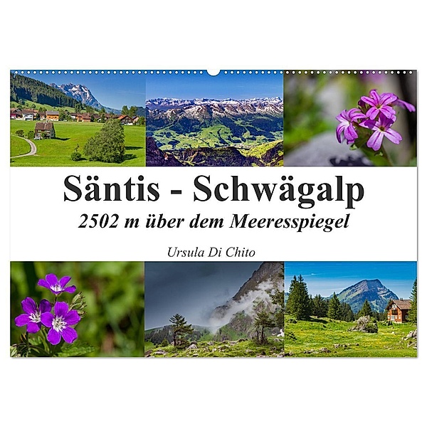 Säntis - Schwägalp (Wandkalender 2024 DIN A2 quer), CALVENDO Monatskalender, Ursula Di Chito