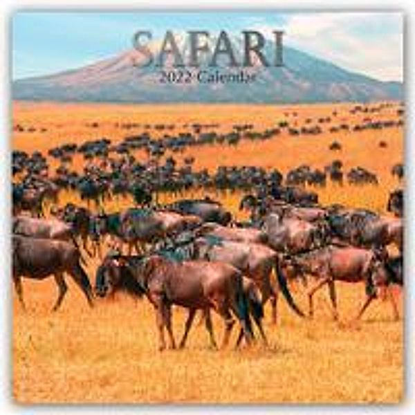 Safari 2022 - 16-Monatskalender, The Gifted Stationery Co. Ltd