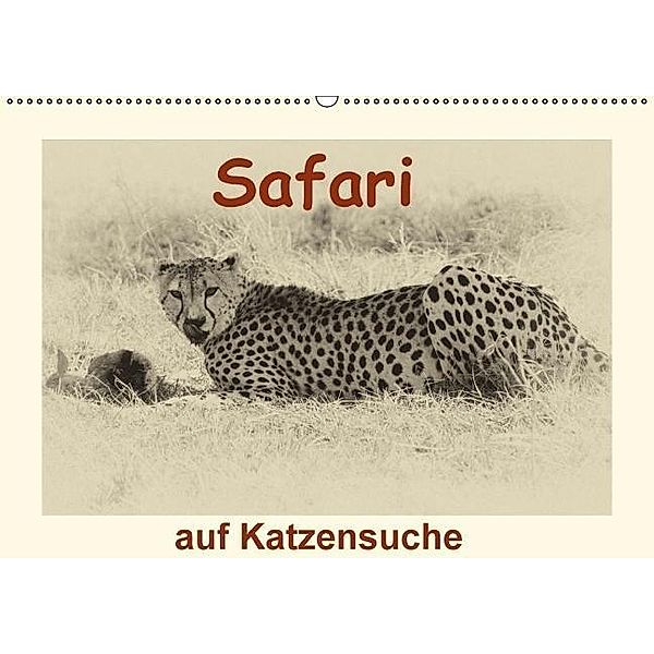 Safari - auf Katzensuche (Wandkalender 2017 DIN A2 quer), Susan Michel /CH