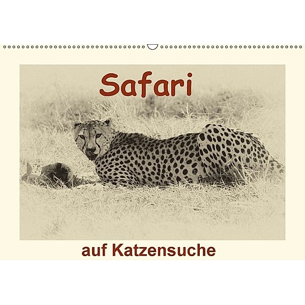 Safari - auf Katzensuche (Wandkalender 2018 DIN A2 quer) Dieser erfolgreiche Kalender wurde dieses Jahr mit gleichen Bil, Susan Michel /CH
