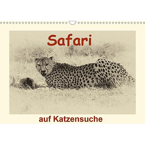 Safari - auf Katzensuche (Wandkalender 2020 DIN A3 quer), Susan Michel /CH