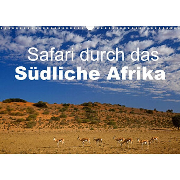 Safari durch das Südliche Afrika (Wandkalender 2022 DIN A3 quer), Stefan Schütter