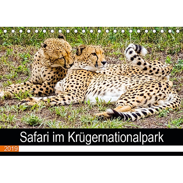 Safari im Krügernationalpark (Tischkalender 2019 DIN A5 quer), Linde Kärcher