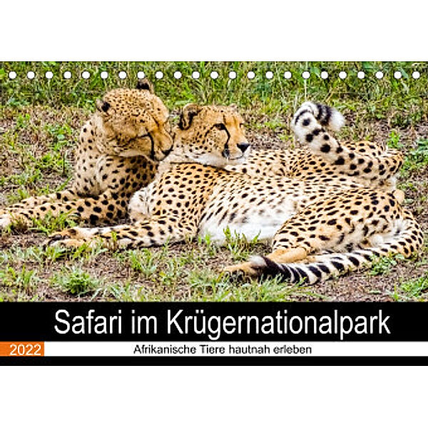 Safari im Krügernationalpark (Tischkalender 2022 DIN A5 quer), Linde Kärcher