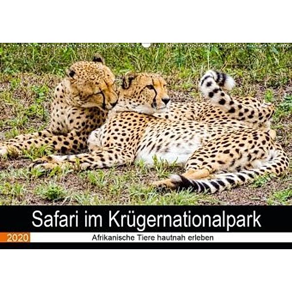 Safari im Krügernationalpark (Wandkalender 2020 DIN A2 quer), Linde Kärcher