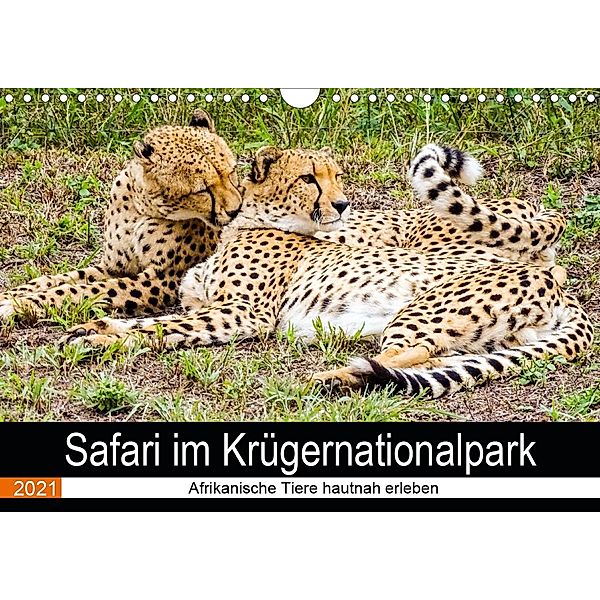 Safari im Krügernationalpark (Wandkalender 2021 DIN A4 quer), Linde Kärcher