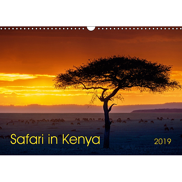 Safari in Kenya (Wall Calendar 2019 DIN A3 Landscape), Gerd-Uwe Neukamp