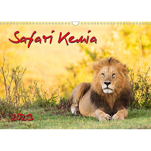 Safari Kenia (Wandkalender 2023 DIN A3 quer), Dr. Gerd-Uwe Neukamp