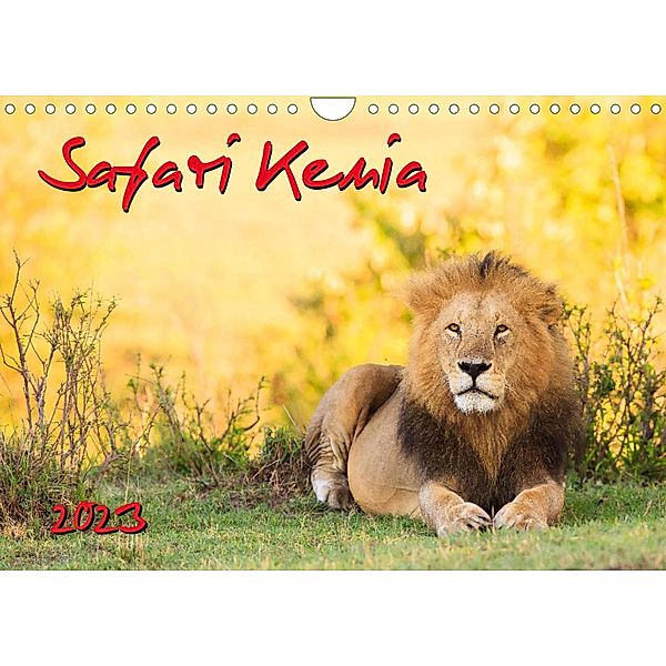 Safari Kenia (Wandkalender 2023 DIN A4 quer), Dr. Gerd-Uwe Neukamp