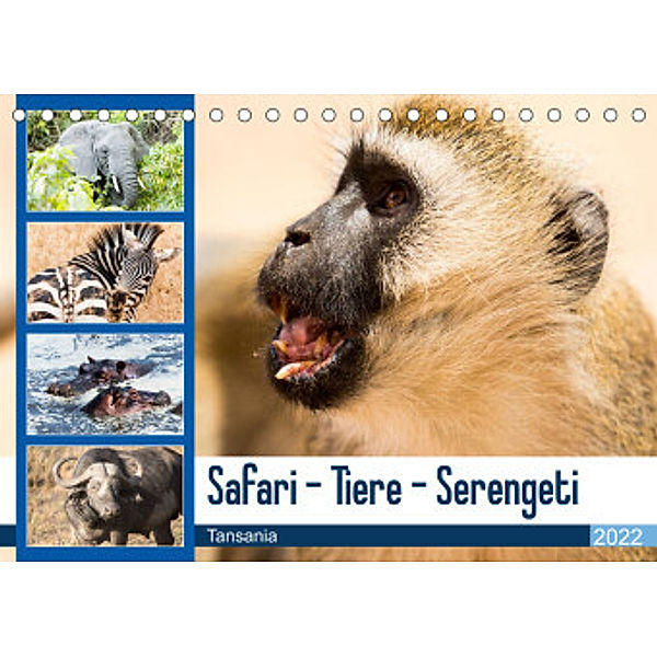 Safari - Tiere - Serengeti (Tischkalender 2022 DIN A5 quer), Sabine Reuke