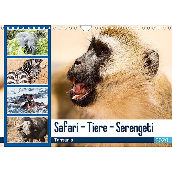 Safari - Tiere - Serengeti (Wandkalender 2020 DIN A4 quer), Sabine Reuke