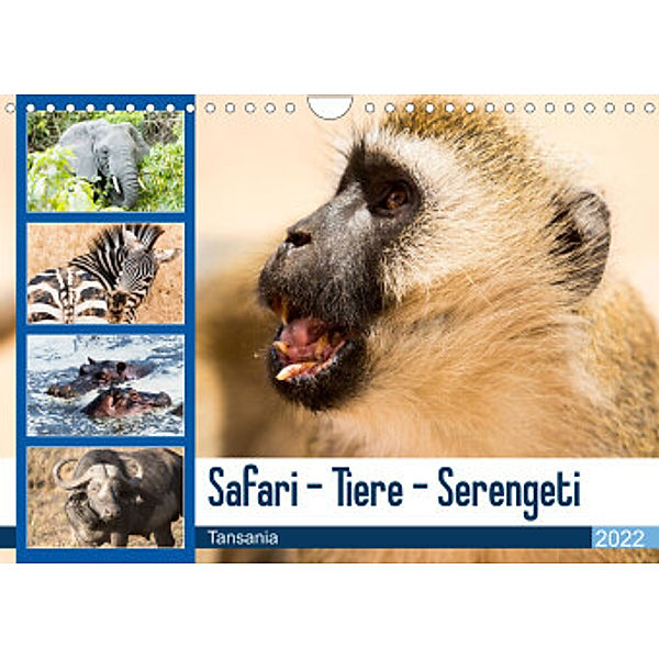 Safari - Tiere - Serengeti (Wandkalender 2022 DIN A4 quer), Sabine Reuke