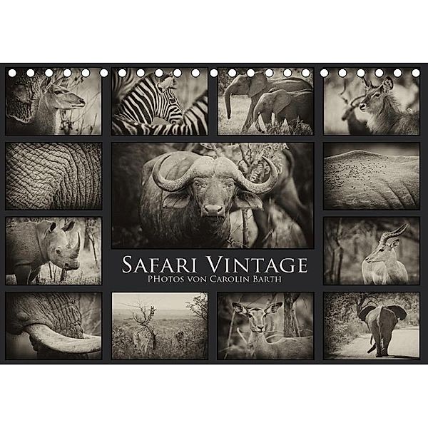Safari Vintage (Tischkalender 2017 DIN A5 quer), Carolin Barth