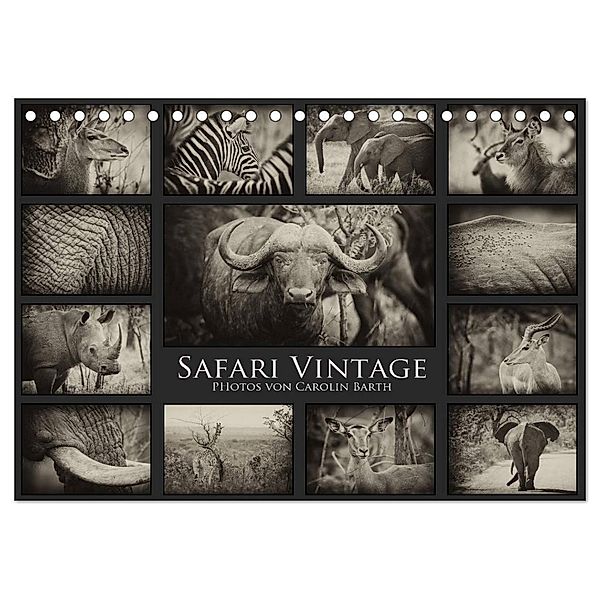 Safari Vintage (Tischkalender 2024 DIN A5 quer), CALVENDO Monatskalender, Carolin Barth