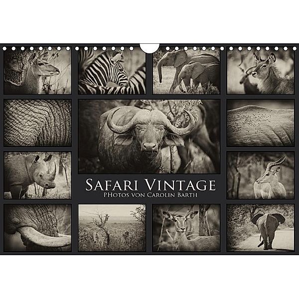 Safari Vintage (Wandkalender 2017 DIN A4 quer), Carolin Barth