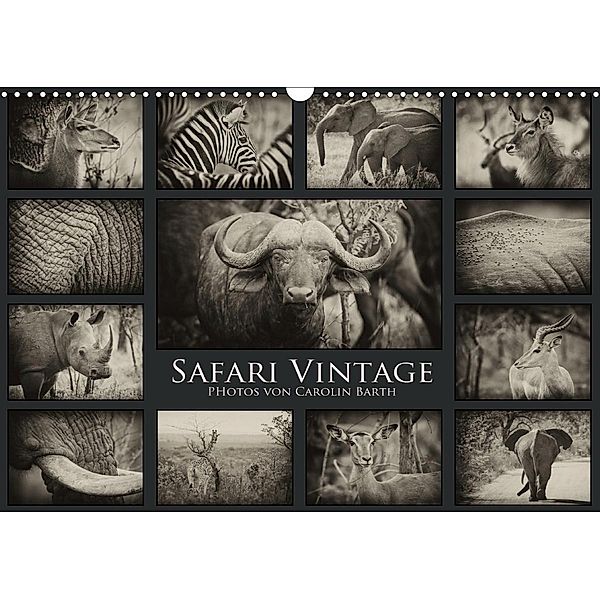 Safari Vintage (Wandkalender 2021 DIN A3 quer), Carolin Barth