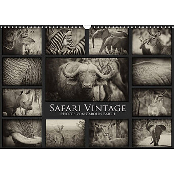 Safari Vintage (Wandkalender 2022 DIN A3 quer), Carolin Barth