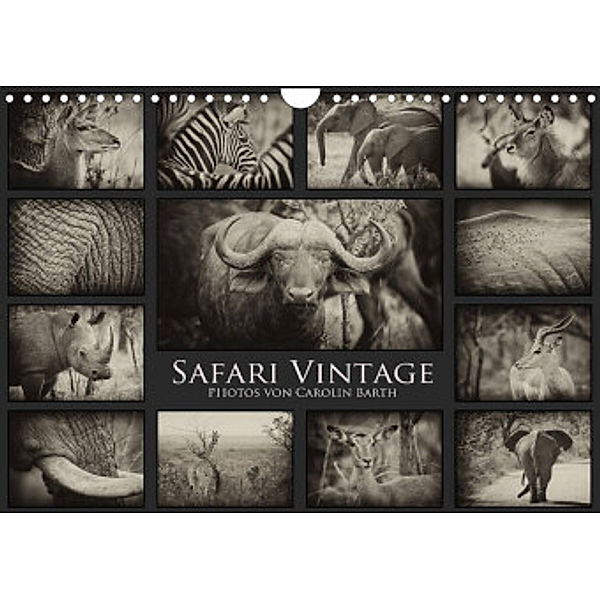 Safari Vintage (Wandkalender 2022 DIN A4 quer), Carolin Barth