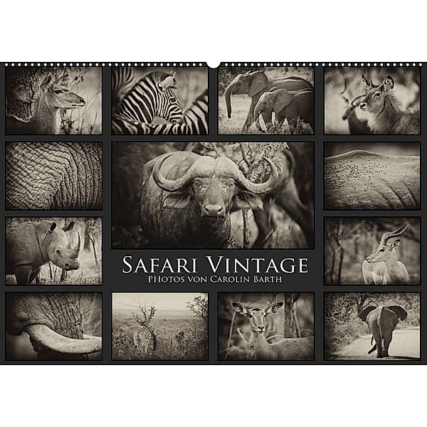 Safari Vintage (Wandkalender 2023 DIN A2 quer), Carolin Barth