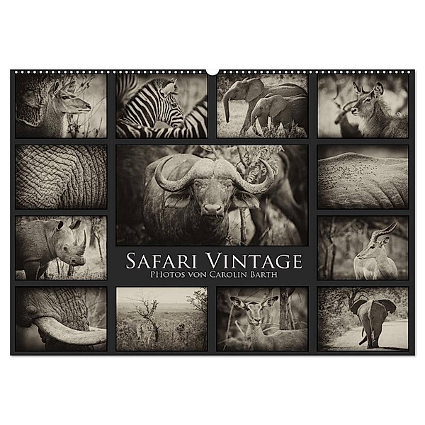 Safari Vintage (Wandkalender 2024 DIN A2 quer), CALVENDO Monatskalender, Carolin Barth