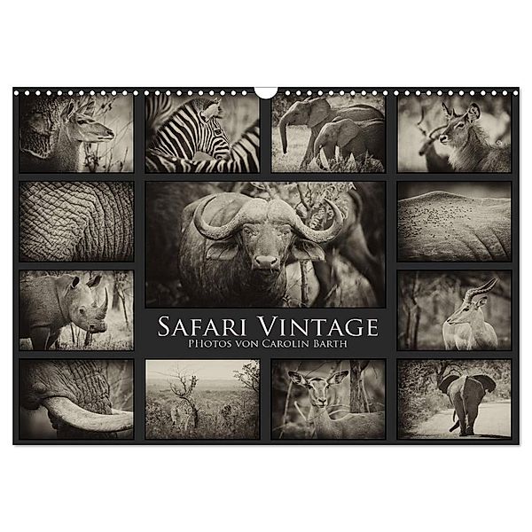 Safari Vintage (Wandkalender 2024 DIN A3 quer), CALVENDO Monatskalender, Carolin Barth