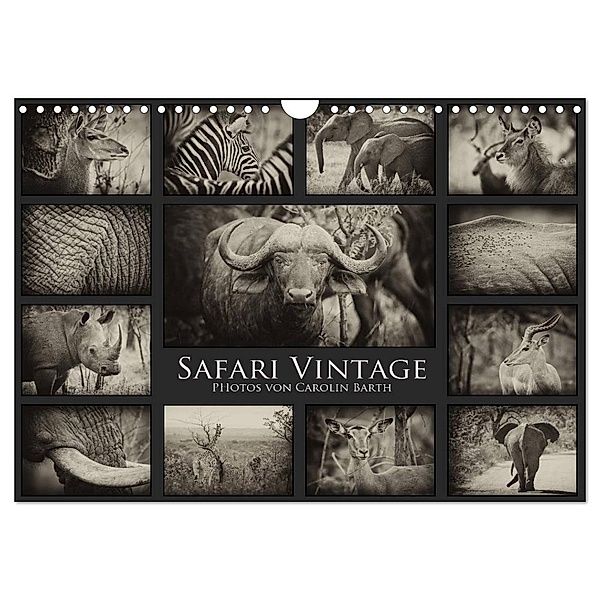 Safari Vintage (Wandkalender 2024 DIN A4 quer), CALVENDO Monatskalender, Carolin Barth