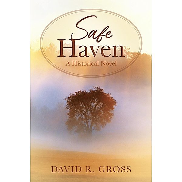 Safe Haven, David R. Gross