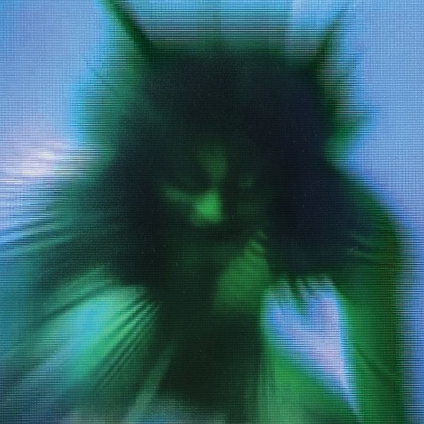 Safe In The Hands Of Love (Gatefold 2lp+Mp3) (Vinyl), Yves Tumor