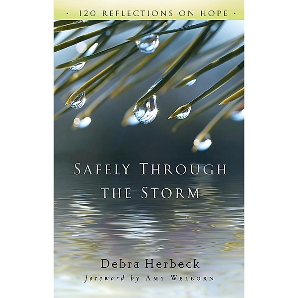 Safely Through the Storm, Debra Herbeck