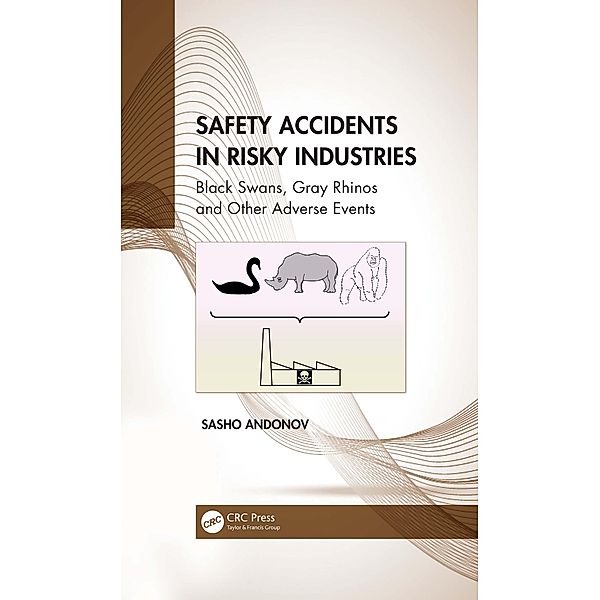 Safety Accidents in Risky Industries, Sasho Andonov
