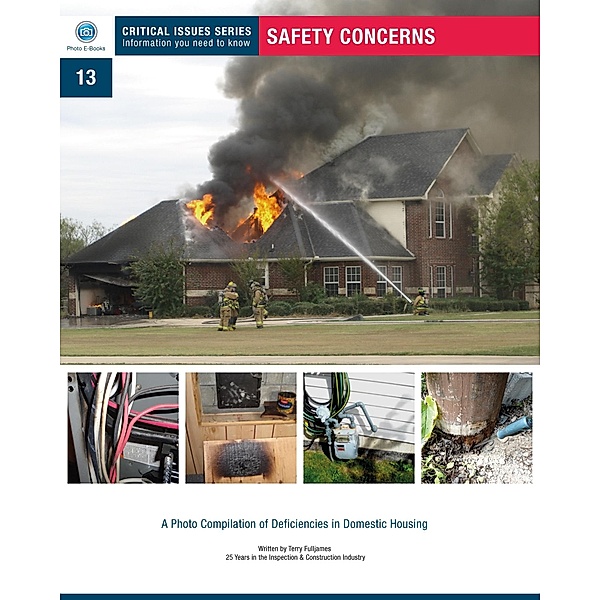 Safety Concerns: book # 13 Critical Issues Series, Terry Fulljames