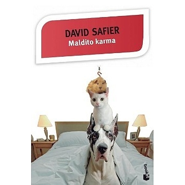 Safier, D: Maldito karma, David Safier