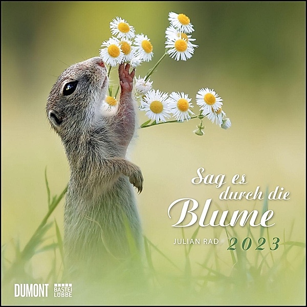 Sag es durch die Blume 2023 - Hamster, Eichhörnchen, Zwiesel in Nahaufnahme - Wandkalender mit Spiralbindung - DUMONT Qu