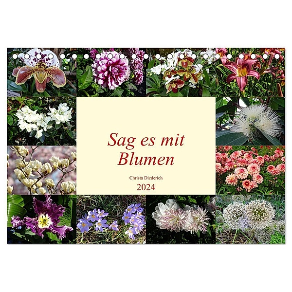Sag es mit Blumen (Tischkalender 2024 DIN A5 quer), CALVENDO Monatskalender, Christa Diederich