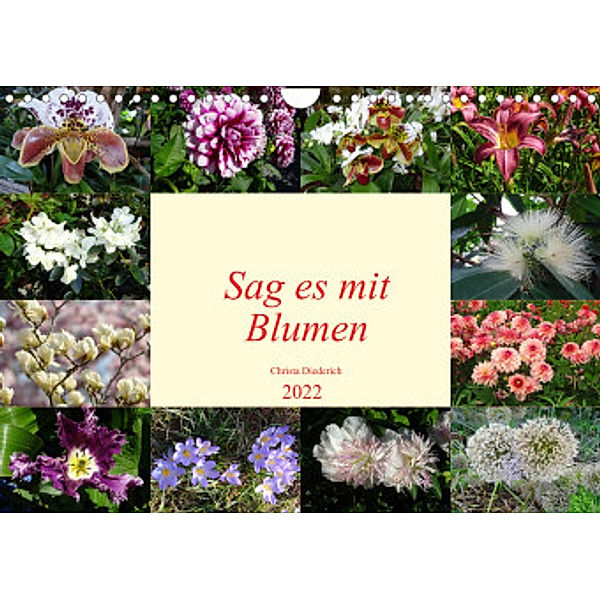 Sag es mit Blumen (Wandkalender 2022 DIN A4 quer), Christa Diederich