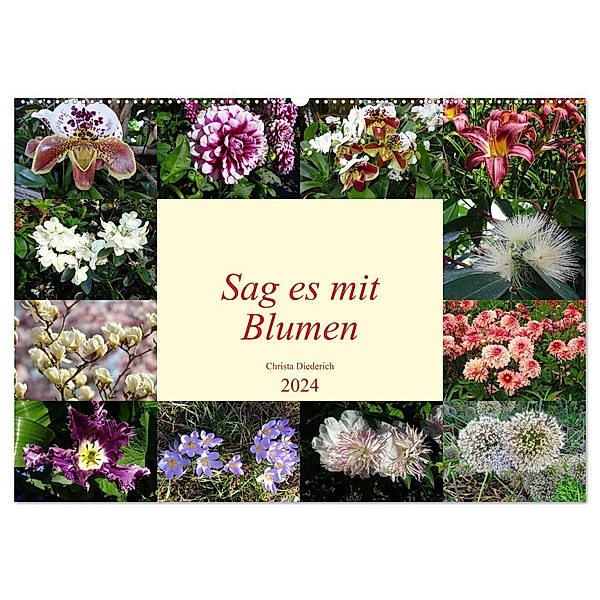 Sag es mit Blumen (Wandkalender 2024 DIN A2 quer), CALVENDO Monatskalender, Christa Diederich