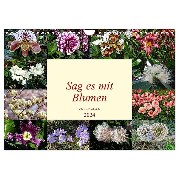 Sag es mit Blumen (Wandkalender 2024 DIN A4 quer), CALVENDO Monatskalender, Christa Diederich